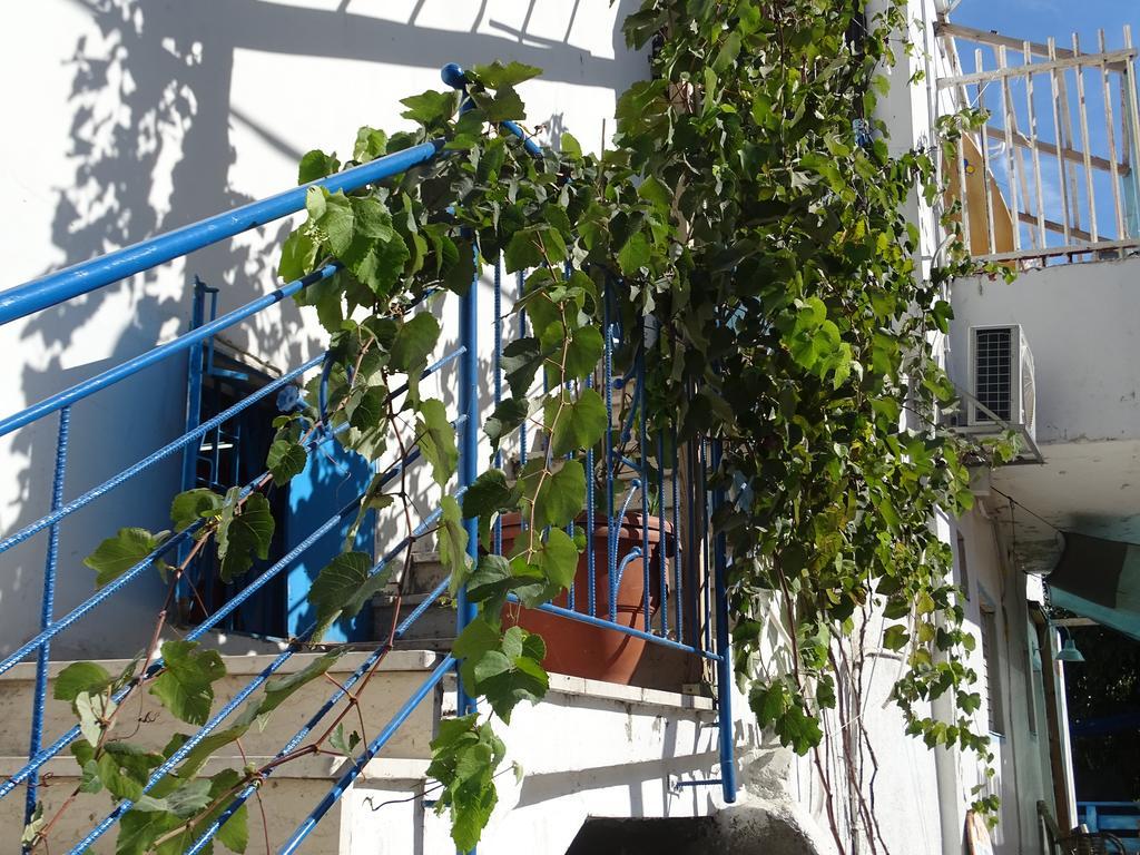 Juha'S Guesthouse - Zarqa Bay Jisr ez Zarqa Eksteriør bilde