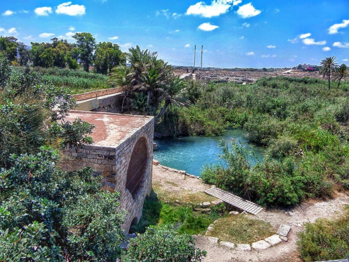 Juha'S Guesthouse - Zarqa Bay Jisr ez Zarqa Eksteriør bilde