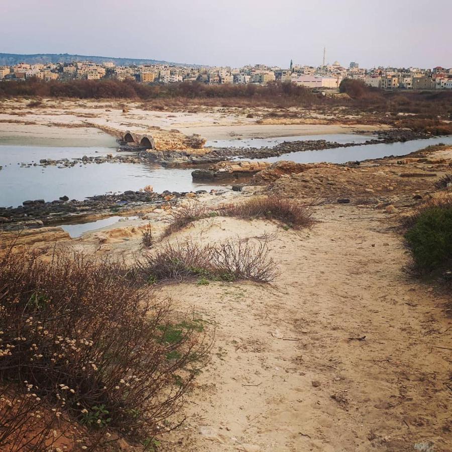 Juha'S Guesthouse - Zarqa Bay Jisr ez Zarqa Eksteriør bilde